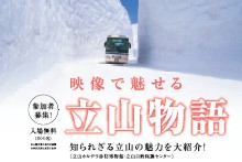 クローズアップ写真