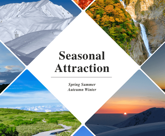 Seasonal Attraction