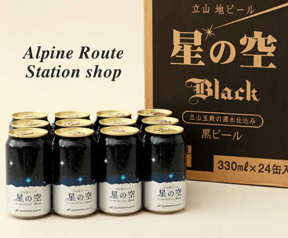 Alpine Route Station shop