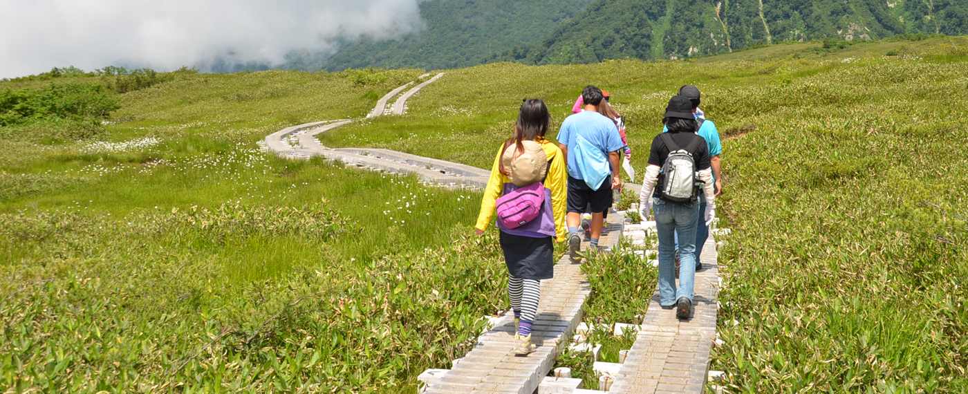 Meadows and Marshland at an altitude of 1900 m