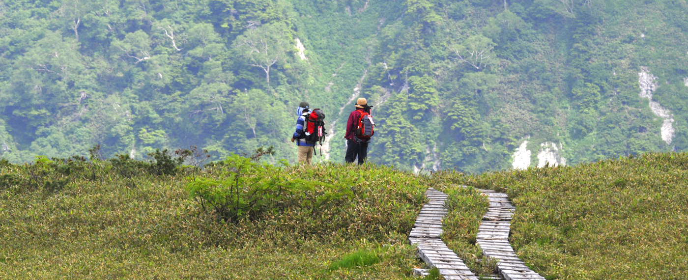 Stroll along boardwalks over this vast wetland area.