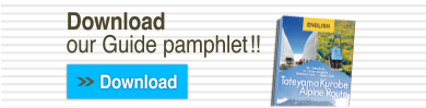Download our Guide pamphlet!!