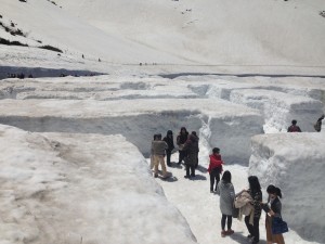 IMG_7834