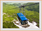 運賃・料金：一般の方