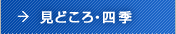 見どころ・四季