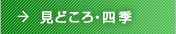 見どころ・四季