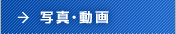 写真・動画