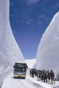 雪の大谷
