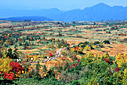 弥陀ヶ原