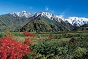 大日岳