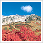 立山Q＆A