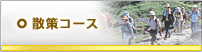 散策コース