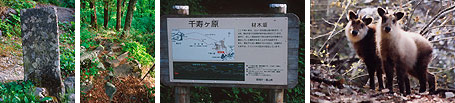 材木坂