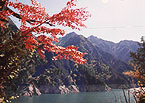 湖畔の散策道