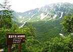 高山植物観察園