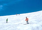 春山スキー