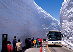 雪の大谷