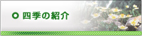 四季の紹介