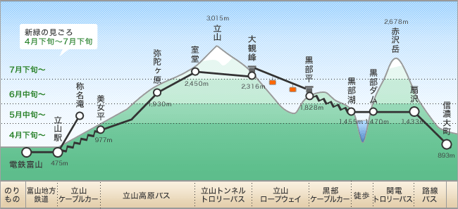新緑の見ごろ