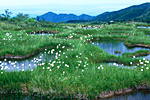 弥陀ヶ原高原