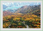 秋・紅葉の季節