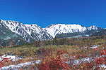 紅葉と新雪の大日岳