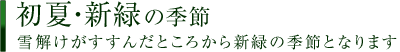 初夏・新緑の季節 － 雪解けがすすんだところから新緑の季節となります