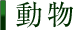 動物