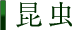昆虫