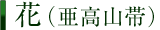 花（亜高山帯）