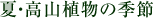 夏・高山植物の季節