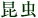 昆虫