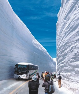 2014雪の大谷(タテ)