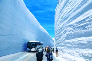 立山黒部貫光:立山黒部アルペンルート、6月30日まで利用できるお得なキャンペーンきっぷとプランをインターネットで販売中！