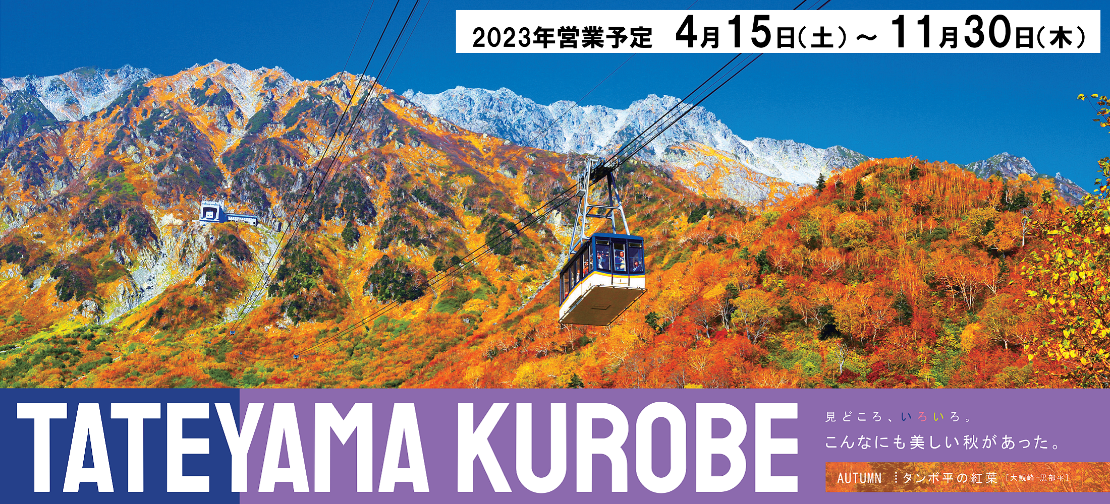 立山黒部アルペンルート公式サイト