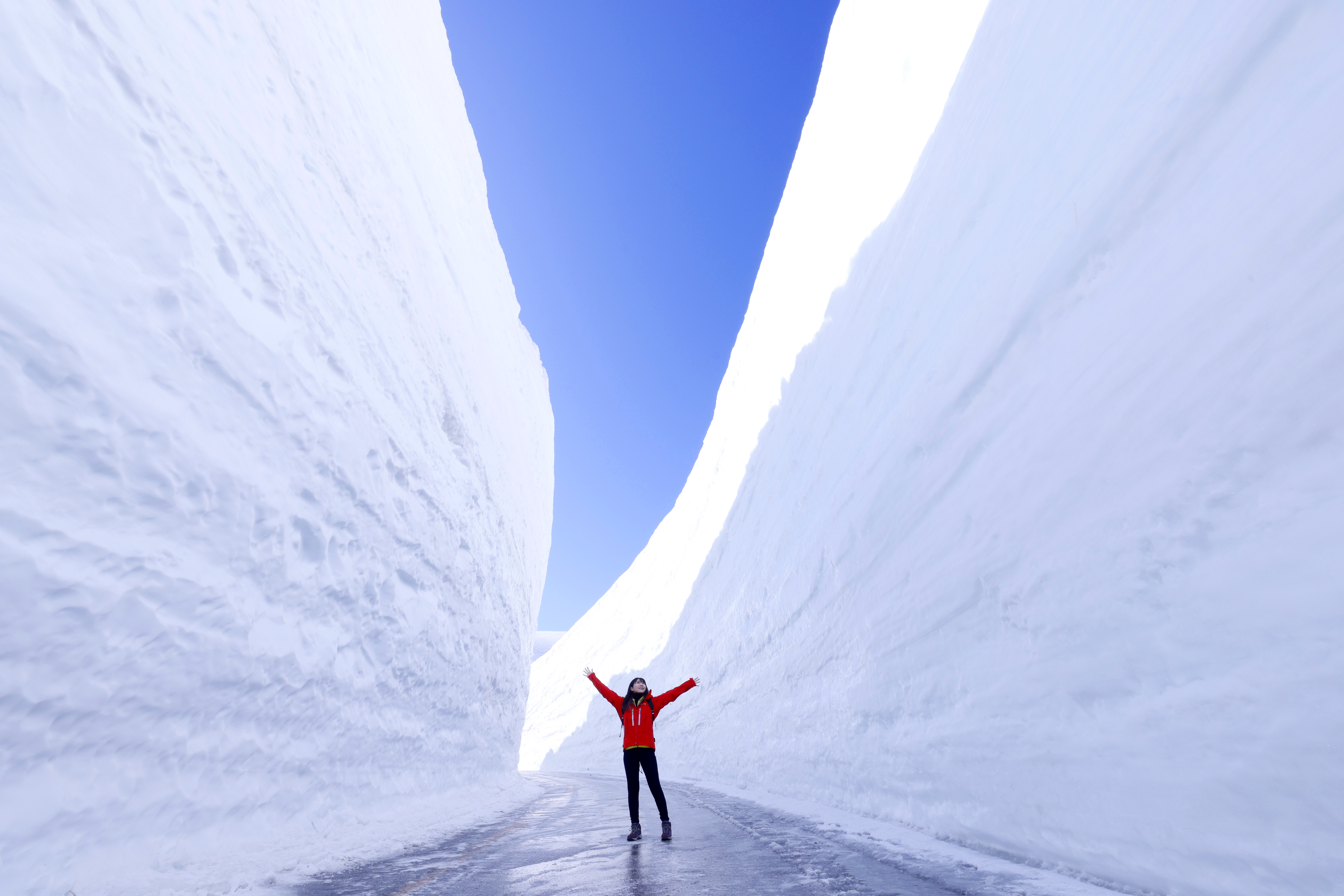 立山黒部アルペンルート：4月2日まで「雪の大谷高さ予想キャンペーン」を実施！