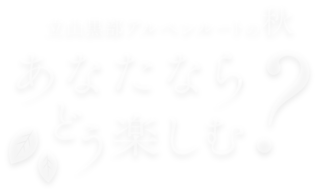 立山黒部アルペンルートの秋 あなたならどう楽しむ？