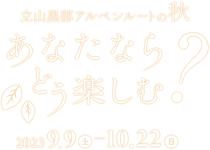 立山黒部アルペンルートの秋 あなたならどう楽しむ？