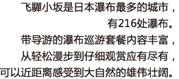 飞驒小坂是日本瀑布最多的城市，有216处瀑布。带导游的瀑布巡游套餐内容丰富，从轻松漫步到仔细观赏应有尽有，可以近距离感受到大自然的雄伟壮阔。