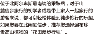 位于北阿尔卑斯最南端的乘鞍岳，对于山麓徒步旅行的初学者或是带上家人一起旅行的游客来说，都可以轻松体验到徒步旅行的乐趣。如果您要在此闲庭信步，推荐您选择遍布珍贵高山植物的“花田漫步行程”。