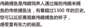 鸬鹚捕鱼是鸬鹚饲养人通过操控鸬鹚来捕鱼的传统捕鱼法，有着超过1300 年的历史。您可以近距离观察鸬鹚捕鱼的样子，感受富有张力的画面。