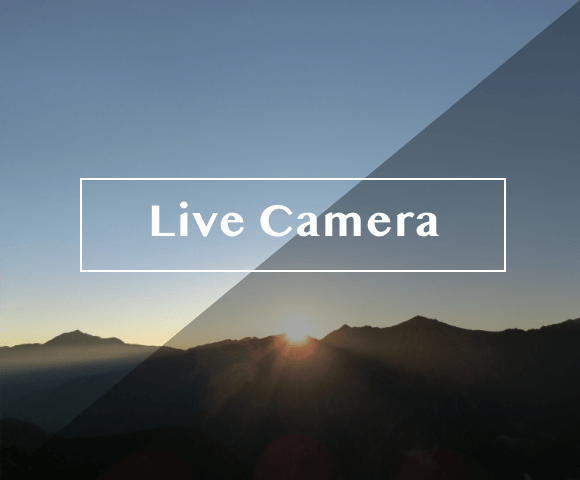 Live camera