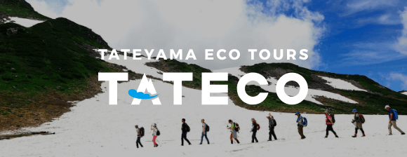 TATECO