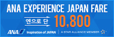 ANA EXPERIENCE JAPAN FARE