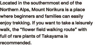 Located in the southernmost end of the Northern Alps, Mount Norikura is a place where beginners and families can easily enjoy trekking. If you want to take a leisurely walk, the “flower field walking route” with full of rare plants of Takayama is recommended.