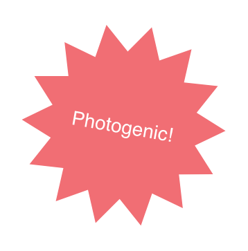 Photogenic!
