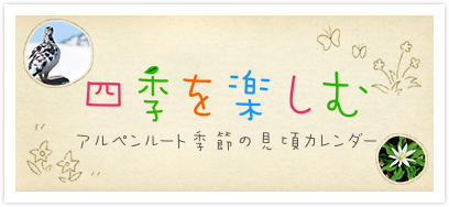 四季を楽しむ