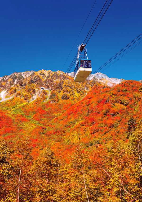カメラにおさめたい 秋の絶景スポット 楽しみ方ナビゲート 立山黒部アルペンルート