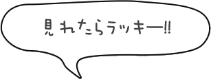 見れたらラッキー！！