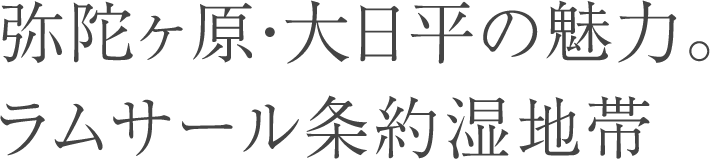 弥陀ヶ原・大日平の魅力。ラムサール条約湿地帯